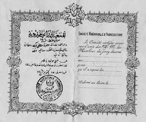 Certificate-2nd place for best bull-1906