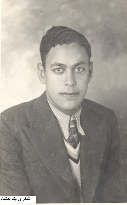 Shoukry Hashad