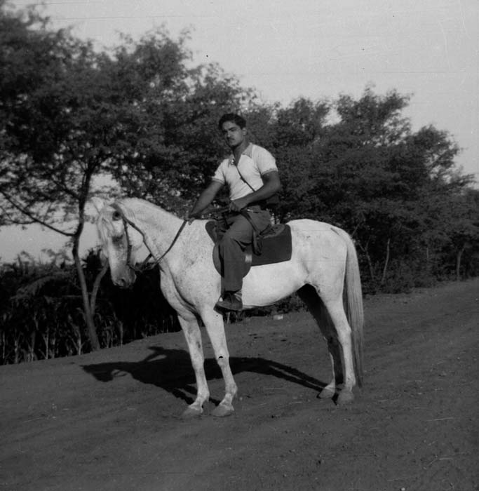 Fadel Shafik Ramadan
